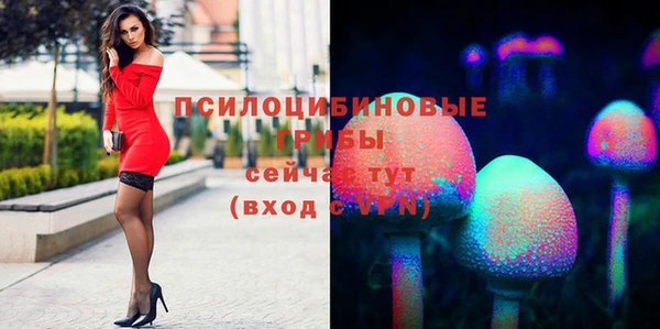 хмурый Богданович