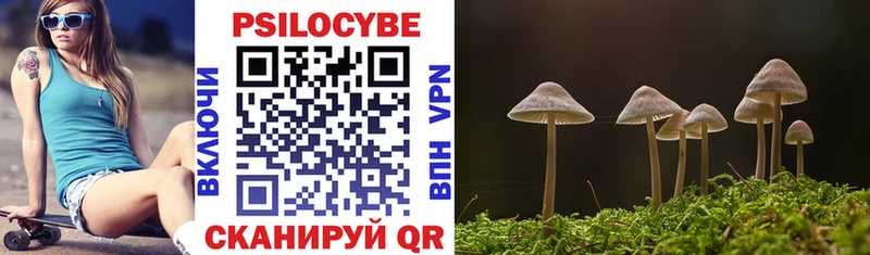 где найти наркотики  Альметьевск  Псилоцибиновые грибы прущие грибы 